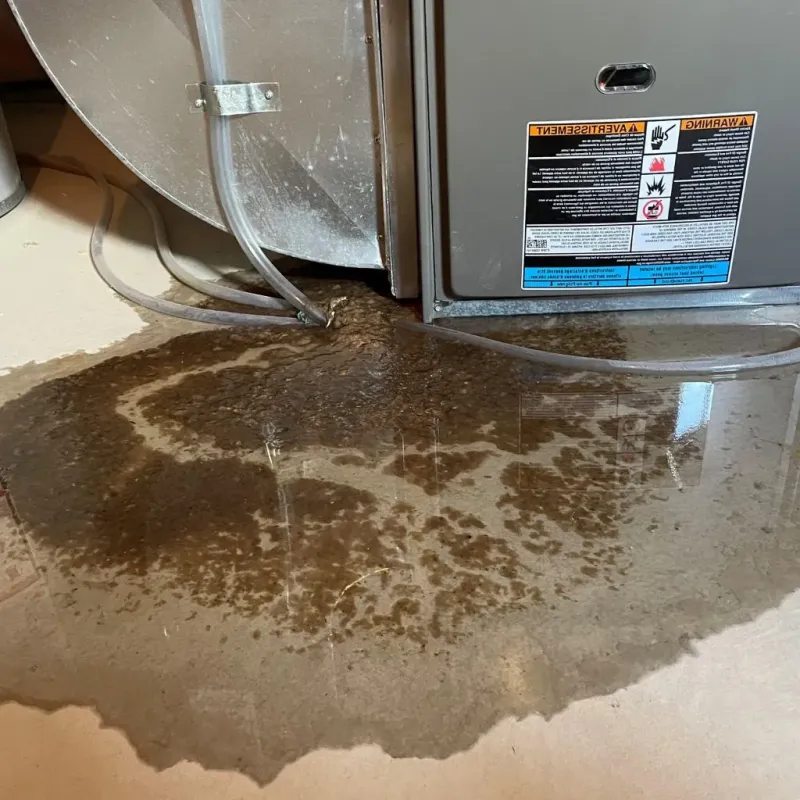 Pipe Burst and Leak Restoration in Desert Aire, WA