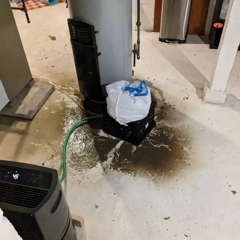 Sewage Backup Cleanup Service in Desert Aire, WA